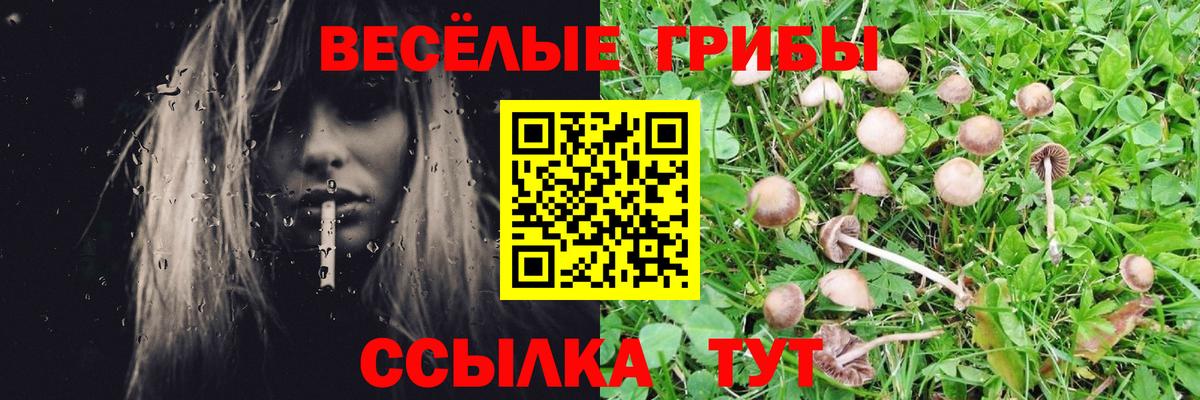 Псилоцибиновые грибы прущие грибы  цена   Лангепас  Вход с VPN 